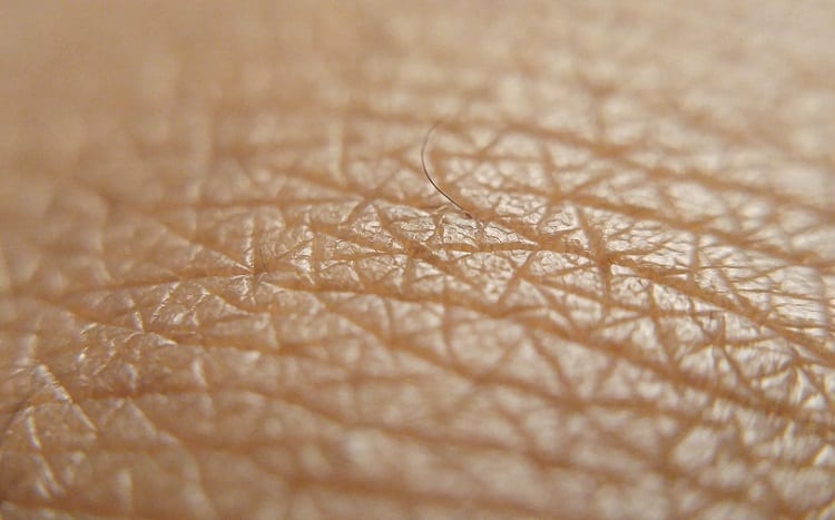 What is Skin, Actually?